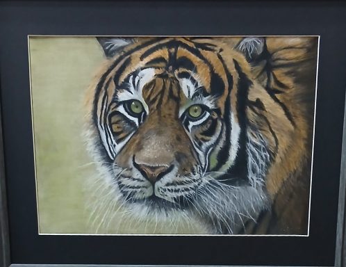 Tigers Eye pastel pencil drawing in a frame.